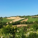Summer weekend #5 – Marche roadtrip