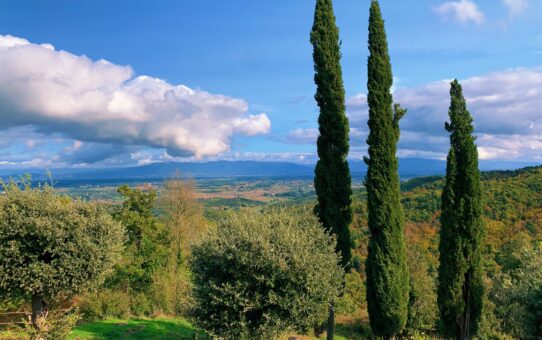 Travel Tips - Castello di Gargonza - Toscana