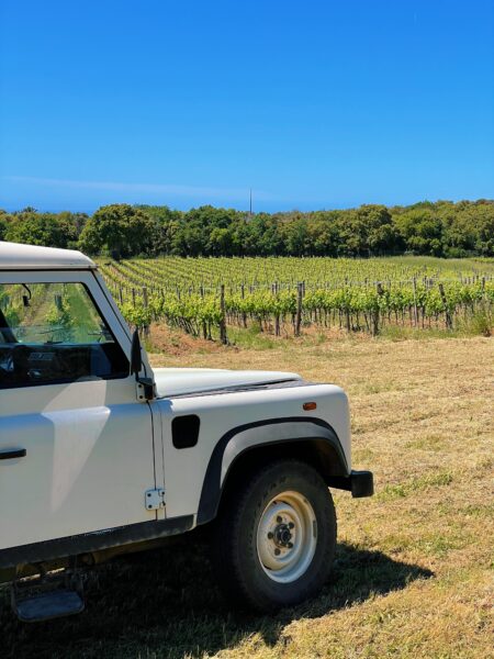 Tenuta Le Colonne - Jeep Wine Tour